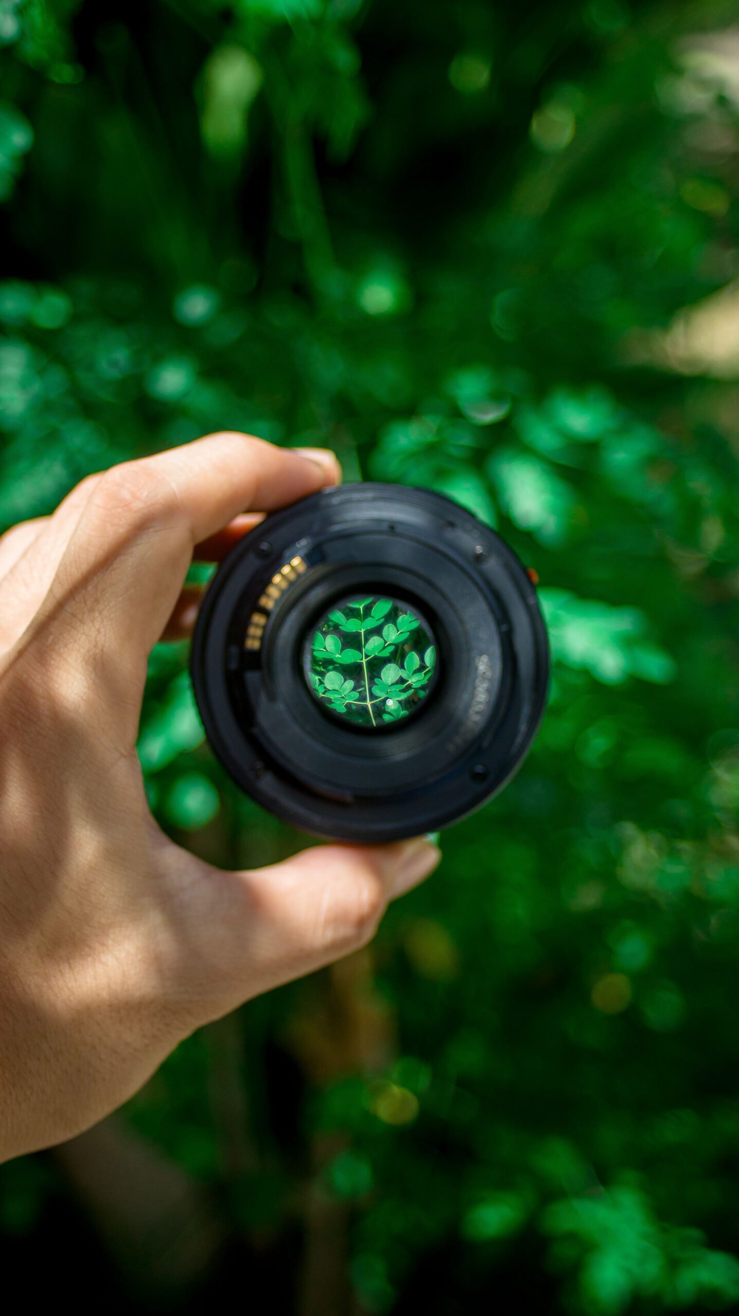 Psicopatologia e Green Criminology